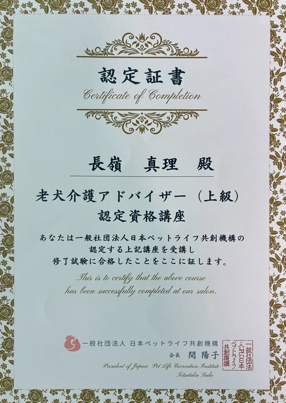 老犬介護アドバイザー上級の認定証